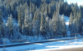 Гостьовий будинок "Дрім Хаус"