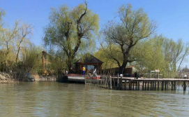 Вид с р.Дунай на бунгало.