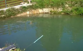 Приватна садиба Забаганка