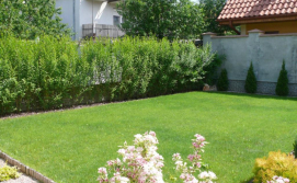 Апартаменти I & I