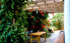 Гостьовий будинок у Олексія