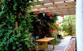 Гостьовий будинок у Олексія