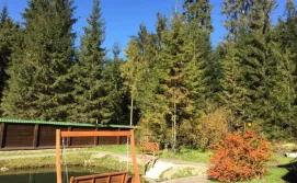 Котедж Лісовий маєток