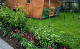 Котедж "У Пасічника"