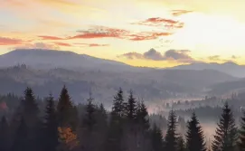 Котедж Цімбори