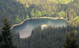 озеро Синевир