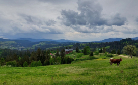 Котедж Цімбори