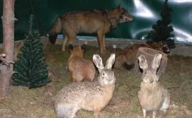 Коттедж "Алекс"