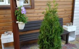 Гостевой двор "Wood Villadge"