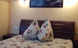 Мини-отель "Пальма Солнечная"