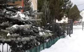 Приватна садиба За зірками за смереками