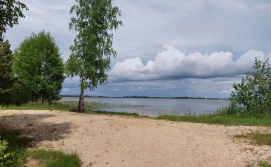 Приватна садиба «Зелена Садиба» вул. Підпісочна, 2А