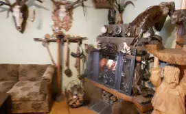 Приватна садиба Затишок в Карпатах