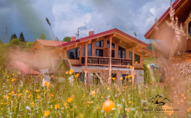 Апартаменти Шале "Гірська хатина"