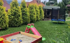 Котедж Шале Тростян