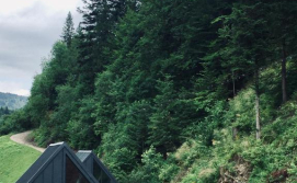 Котедж BagriWood Lodges