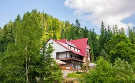 Готель Піги