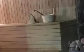 Гостьовий будинок Карпатський вікенд