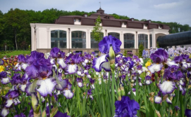 Санаторий "Деренівська Купіль"