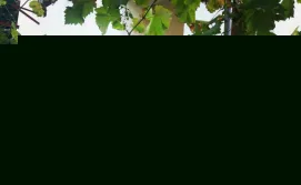 Котедж "Солард"