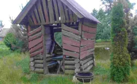 Приватний сектор У Світлани