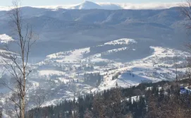 Гостьовий будинок Над Прутом