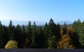 Приватна садиба У Павла