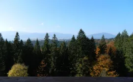 Приватна садиба У Павла