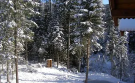 Котедж "12 Місяців"