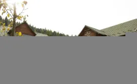 Приватна садиба Криворізька Паланка