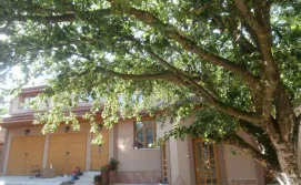 Приватна садиба Карпатський домік