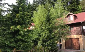 Вілла Лісова комфорт