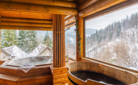 Вілла Альпійка