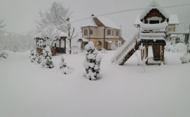 Котедж Золото Карпат