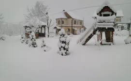 Котедж Золото Карпат