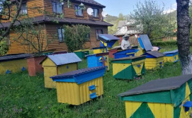 Котедж Медова Хата