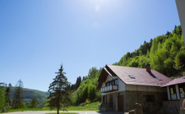 Приватна садиба Кам'янка