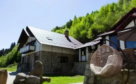 Приватна садиба Кам'янка