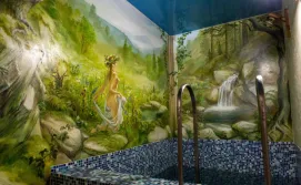 Приватна садиба Кам'янка