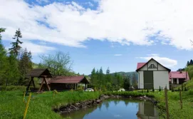 Приватна садиба Кам'янка