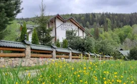 Апартаменти Гірська Соната