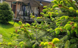 Гостьовий будинок У Сестер