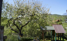 Будиночок в Карпатах