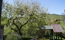 Будиночок в Карпатах