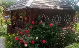 Котедж "У Пасічника"