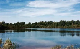 Екскурсія «Safari»