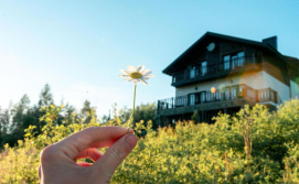 Готель Резиденція Неш