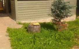 Приватна садиба Червона Рута