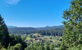 Приватна садиба Шпінь