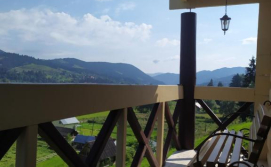 Приватна садиба Карпатська мрія